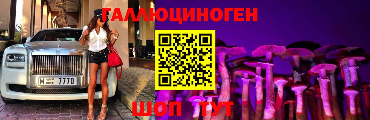 Знаменск  Псилоцибиновые грибы мухоморы  Вход с VPN  Галлюциногенные грибы прущие грибы 