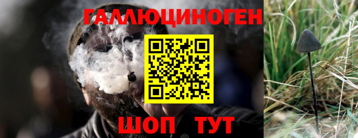 Галлюциногенные грибы прущие грибы Знаменск